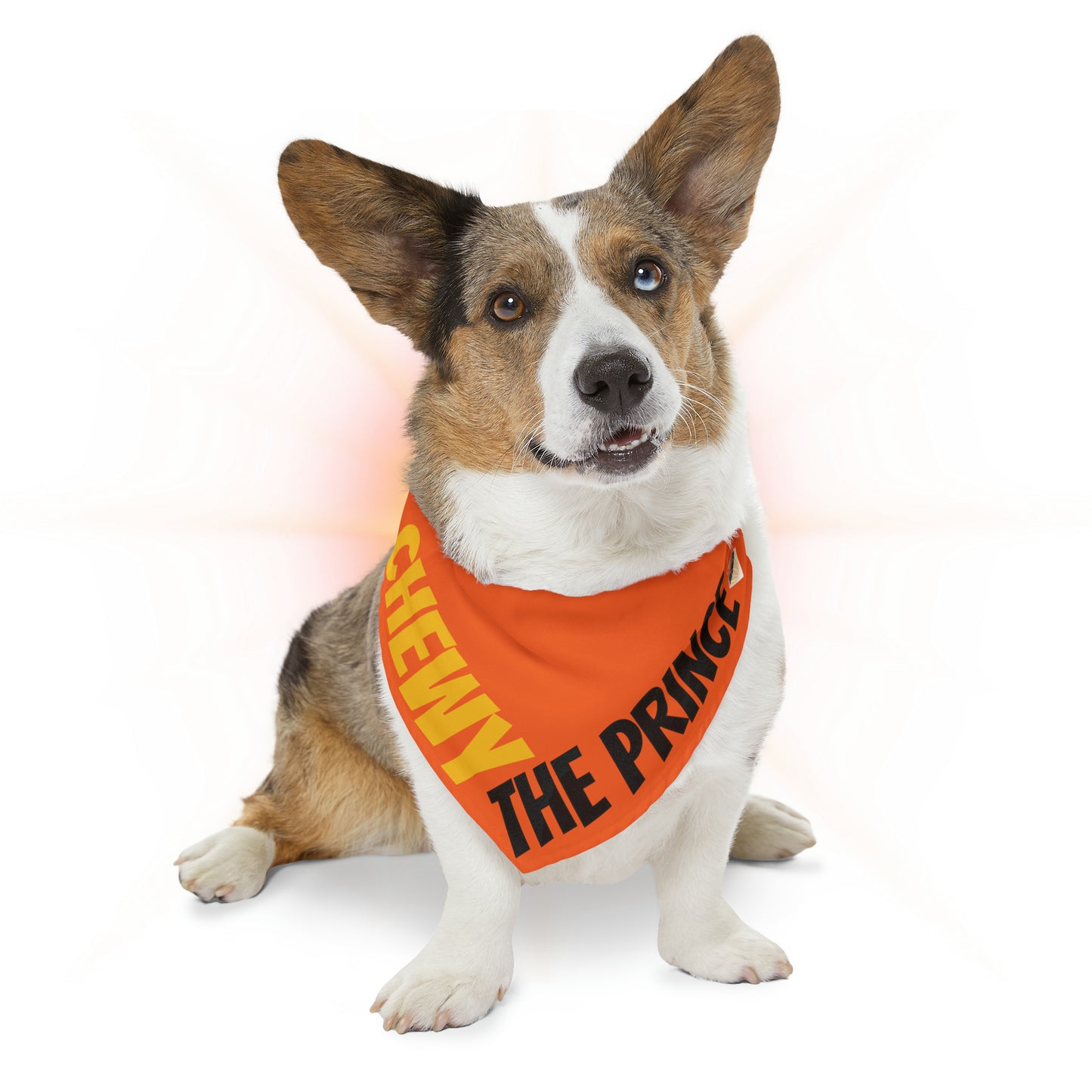 Chewy The Prince Pet Bandana Collar