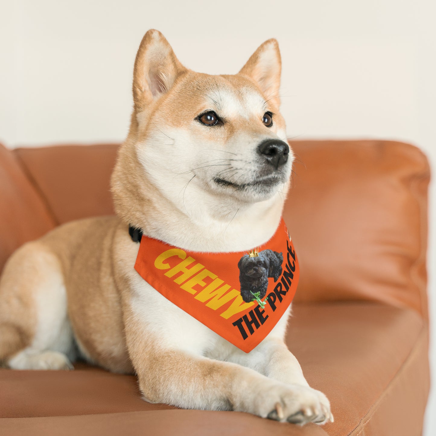 Chewy The Prince Pet Bandana Collar