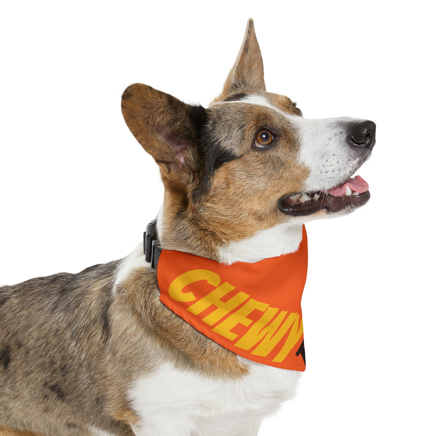 Chewy The Prince Pet Bandana Collar