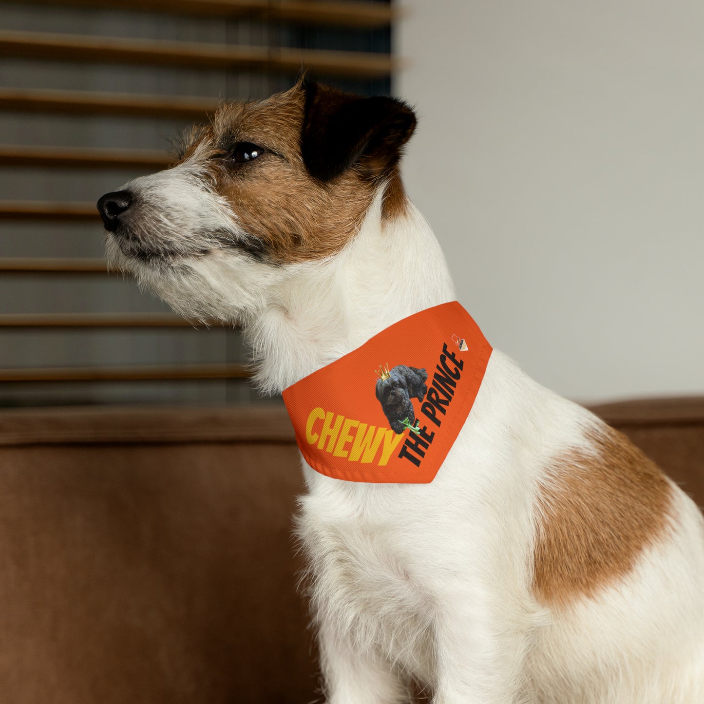 Chewy The Prince Pet Bandana Collar